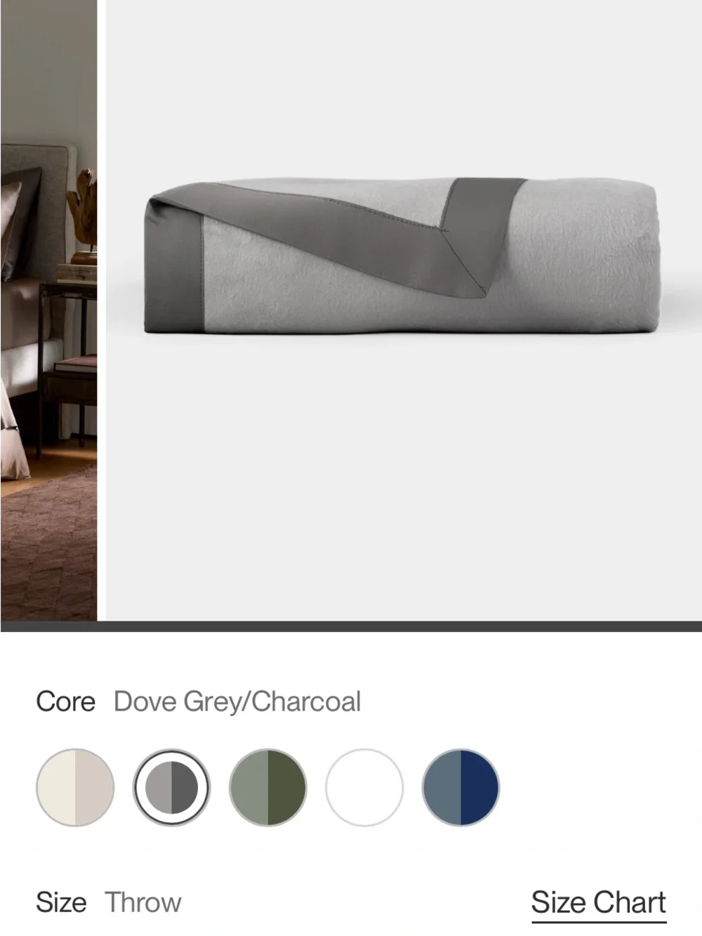 Cozy Earth Gray Bamboo Throw Blanket - 50x60 with canvas bag